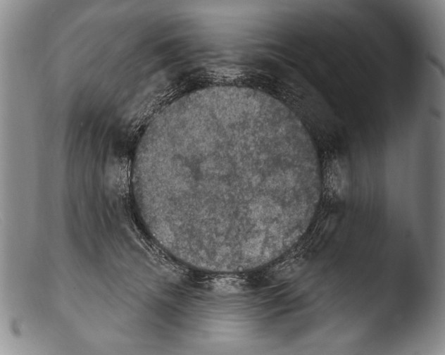 X0000103950468200810311553