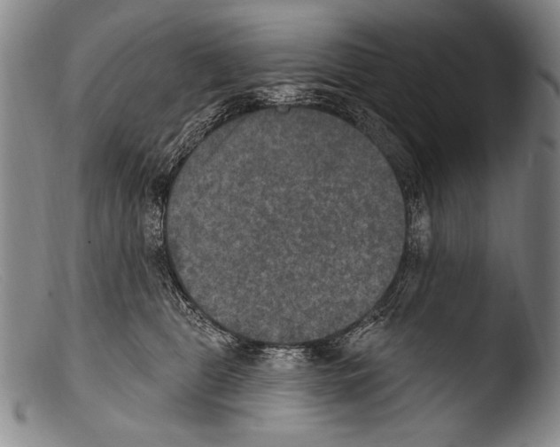 X0000103950469200810311553