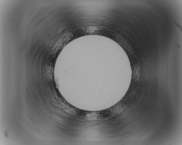 X0000103950470200810311553