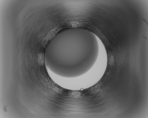 X0000103950471200810311553