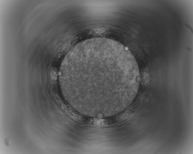 X0000103950472200810311553