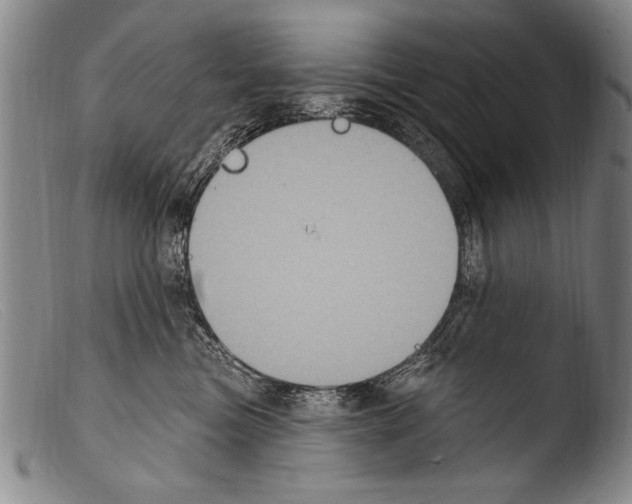 X0000103950473200810311553