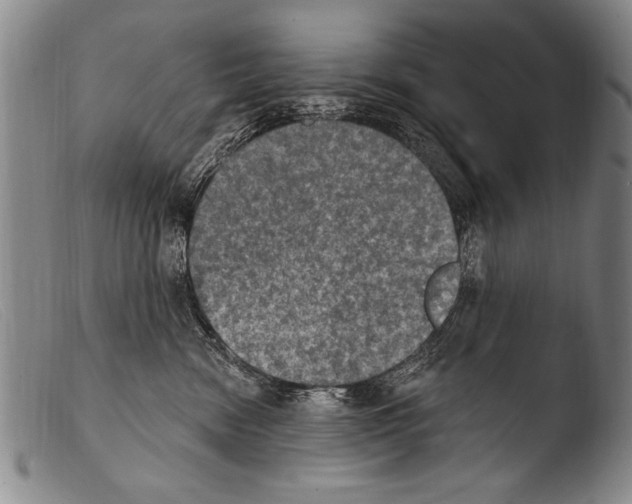 X0000103950474200810311553
