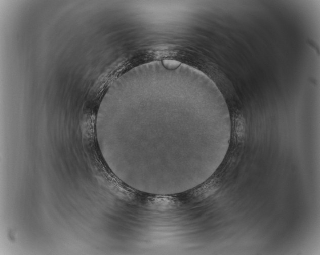 X0000103950475200810311553