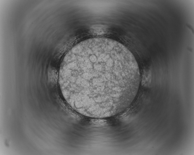 X0000103950476200810311553