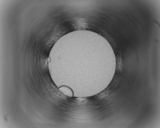 X0000103950477200810311554