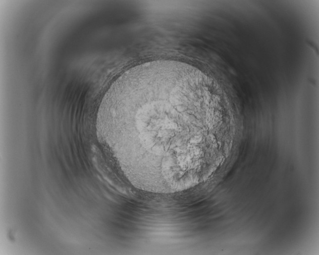X0000103950478200810311554