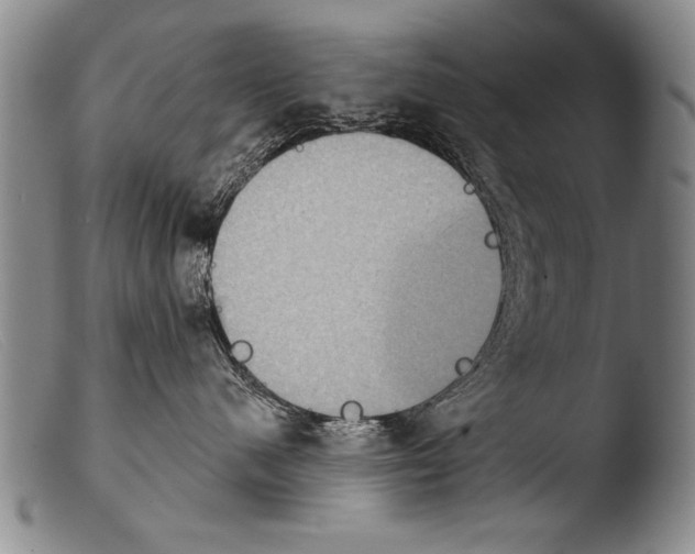 X0000103950480200810311554
