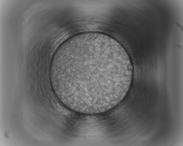 X0000103950481200810311553
