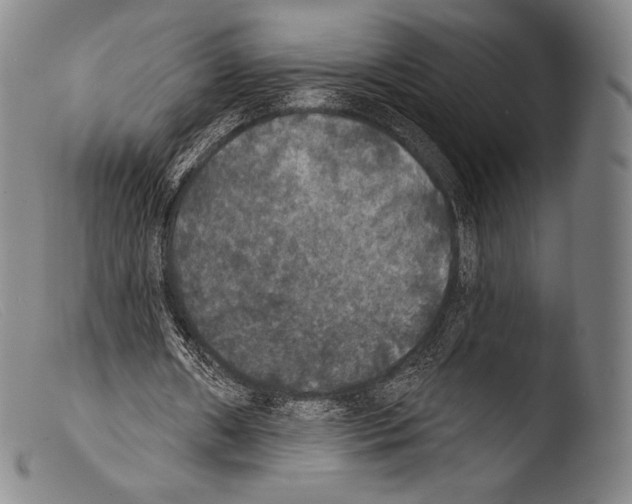 X0000103950482200810311553