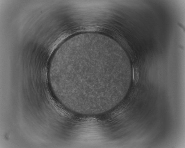 X0000103950483200810311553