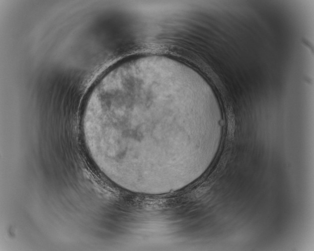 X0000103950484200810311553