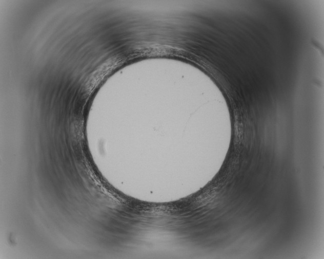 X0000103950485200810311553