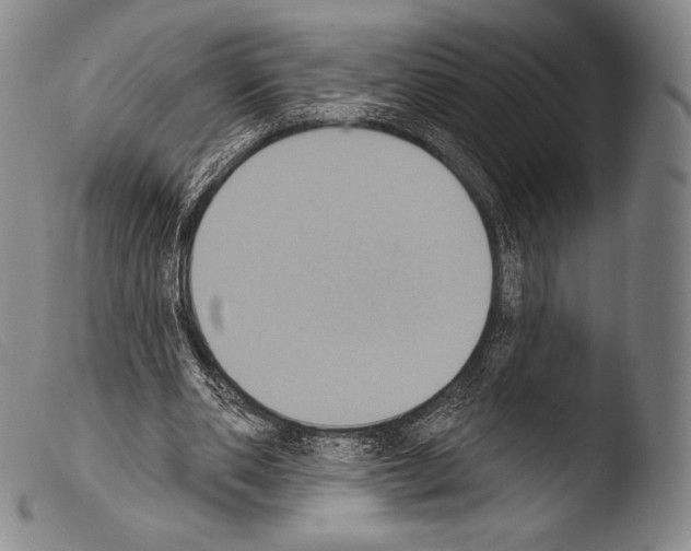 X0000103950486200810311553