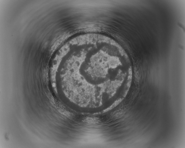 X0000103950487200810311553