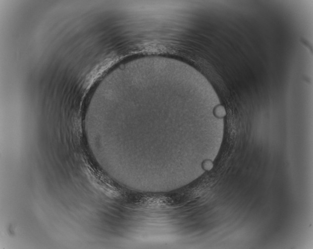 X0000103950488200810311553