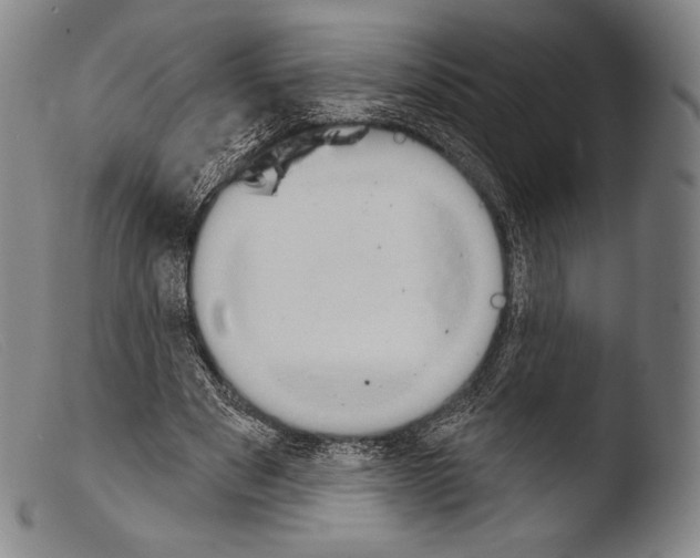 X0000103950489200810311553