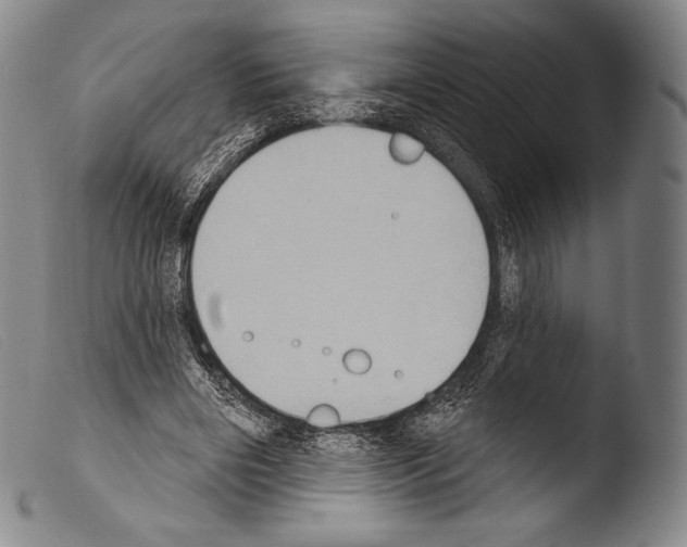 X0000103950490200810311553