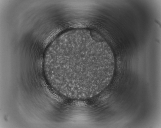 X0000103950491200810311553