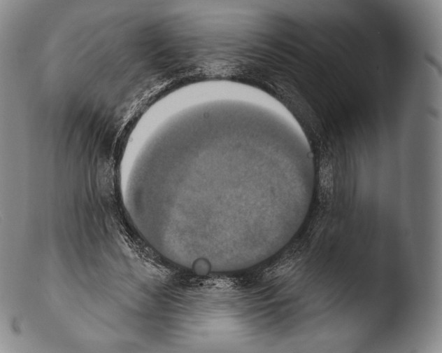 X0000103950492200810311553