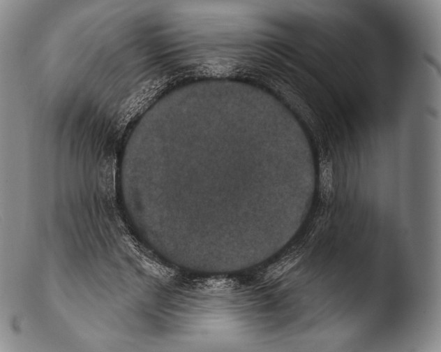 X0000103950493200810311553