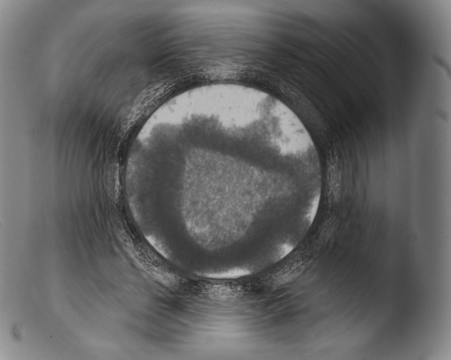 X0000103950494200810311553
