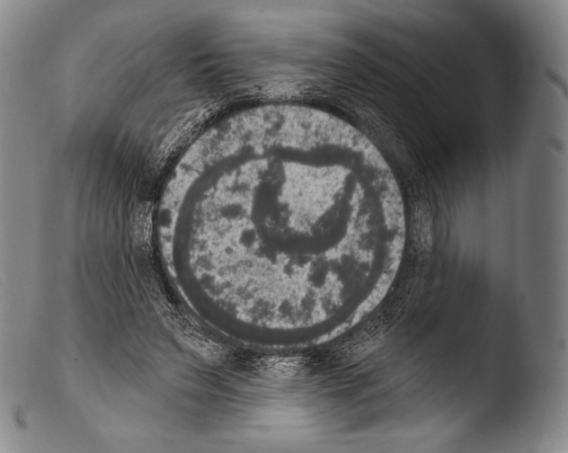 X0000103950495200810311553