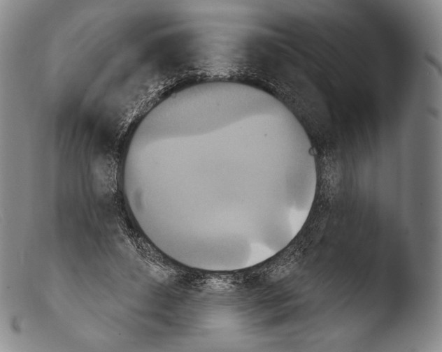 X0000103950496200810311553