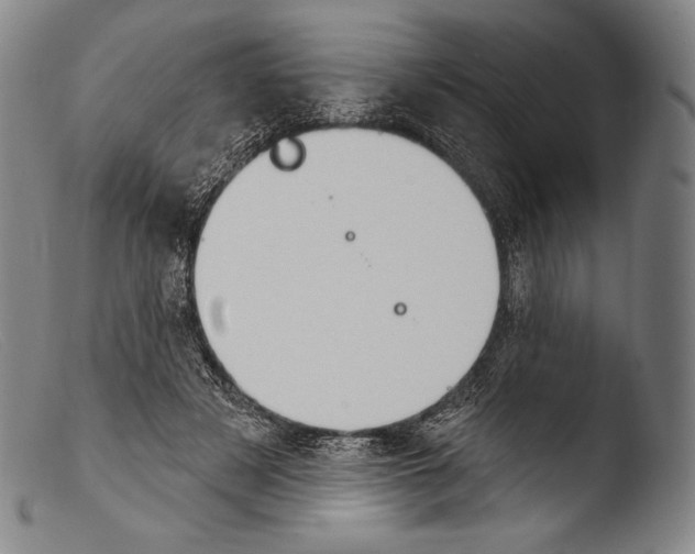 X0000103950497200810311552