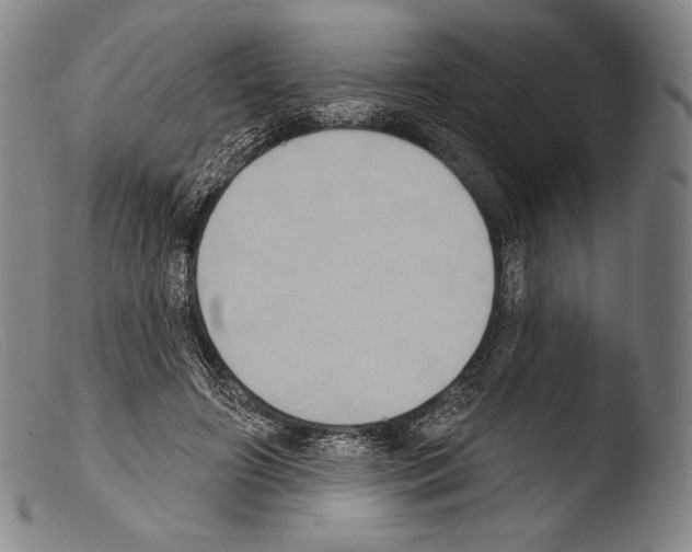 X0000103950498200810311552