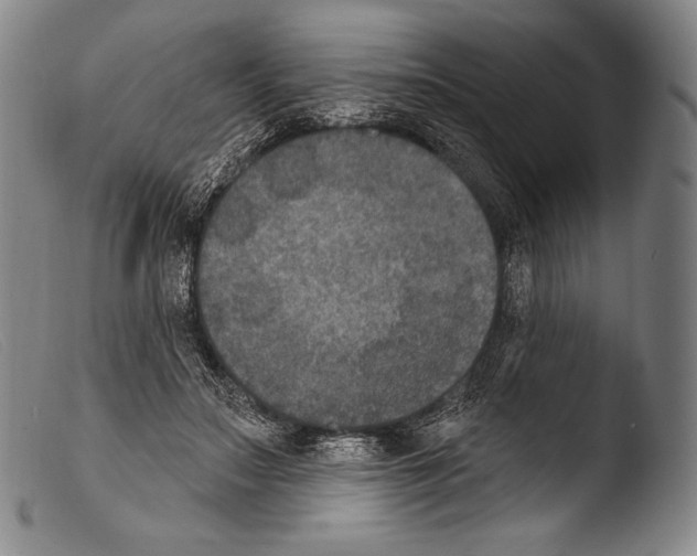 X0000103950499200810311552