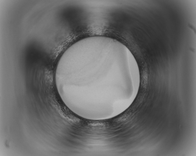 X0000103950500200810311552