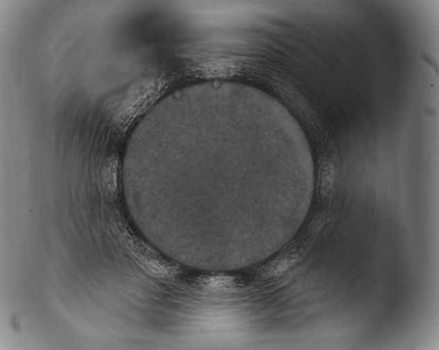 X0000103950501200810311552