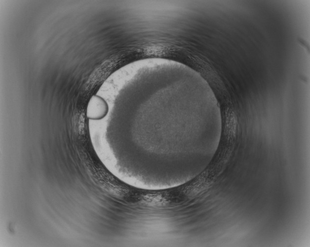 X0000103950502200810311552