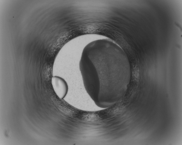 X0000103950503200810311552