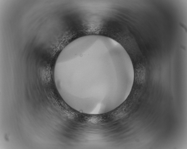 X0000103950504200810311552