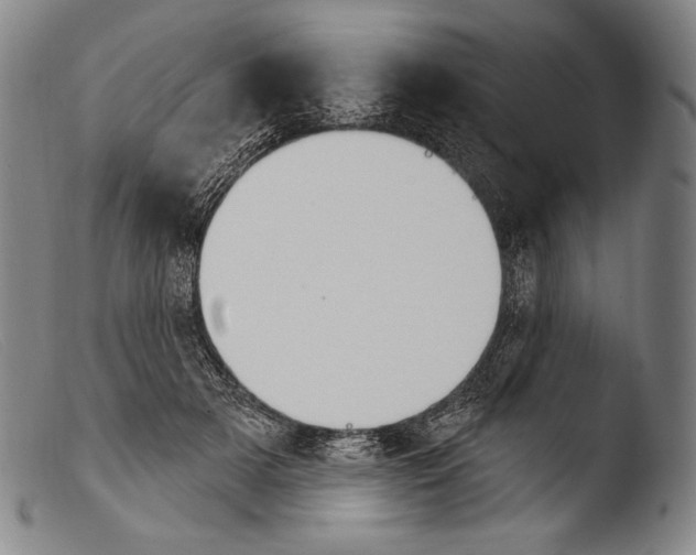 X0000103950505200810311552