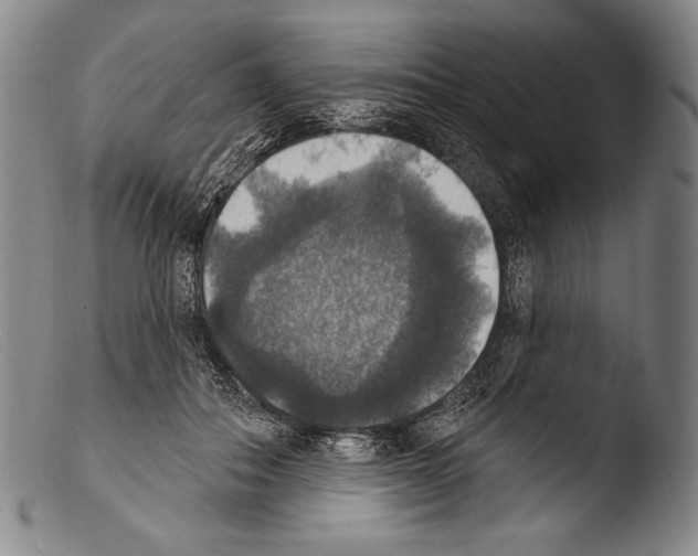 X0000103950506200810311552