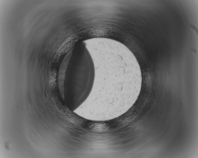 X0000103950507200810311552