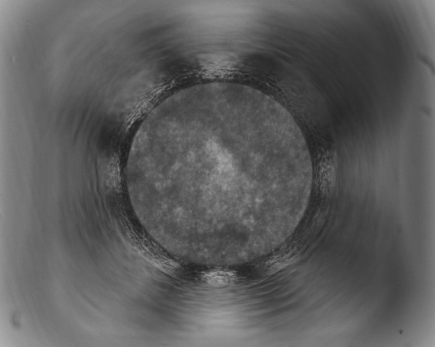 X0000103950508200810311552