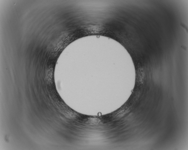 X0000103950509200810311552