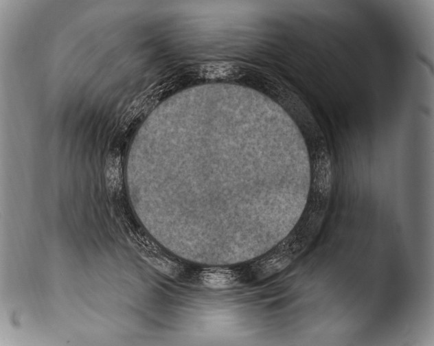 X0000103950510200810311552