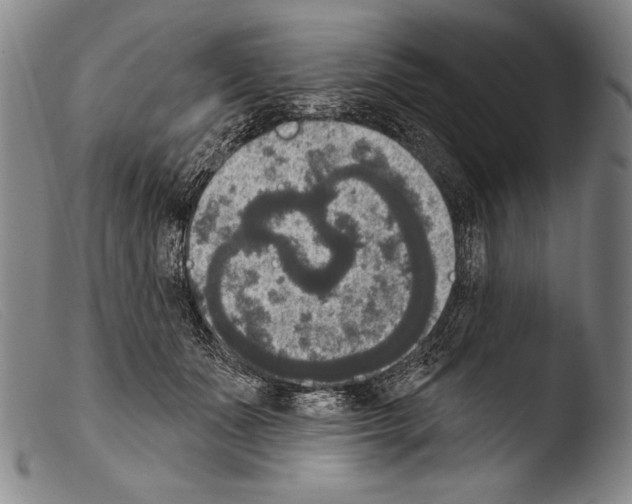 X0000103950511200810311552