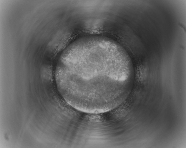 X0000103950512200810311552