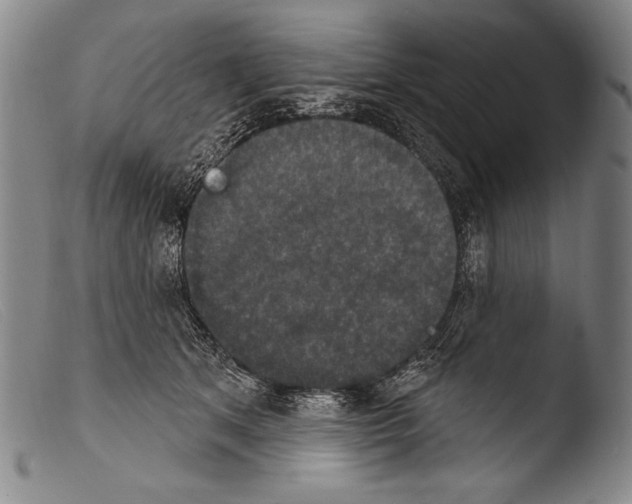 X0000103950513200810311552