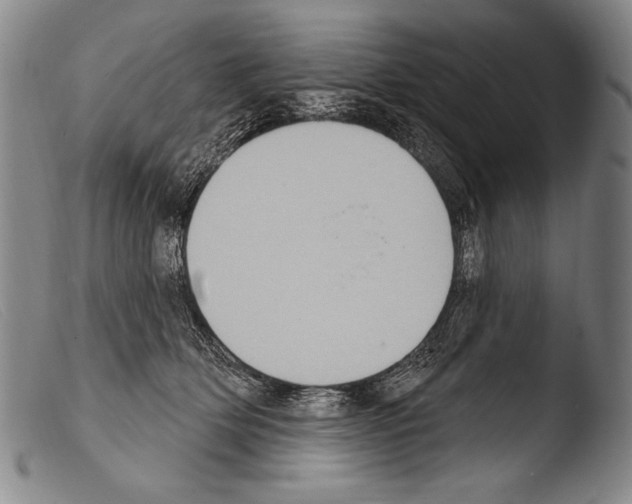 X0000103950514200810311552