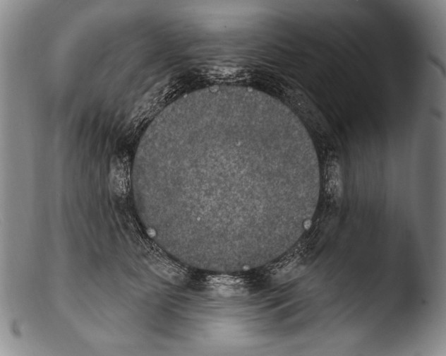 X0000103950515200810311552