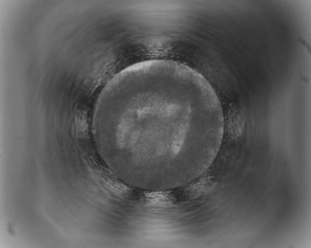 X0000103950516200810311552