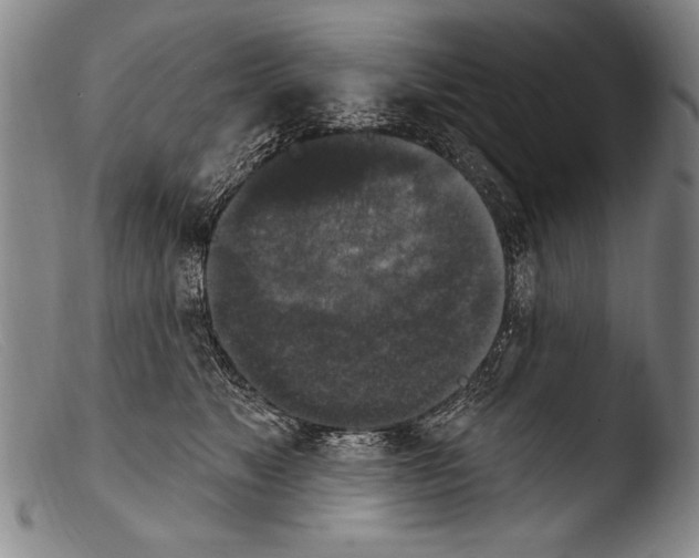 X0000103950517200810311552