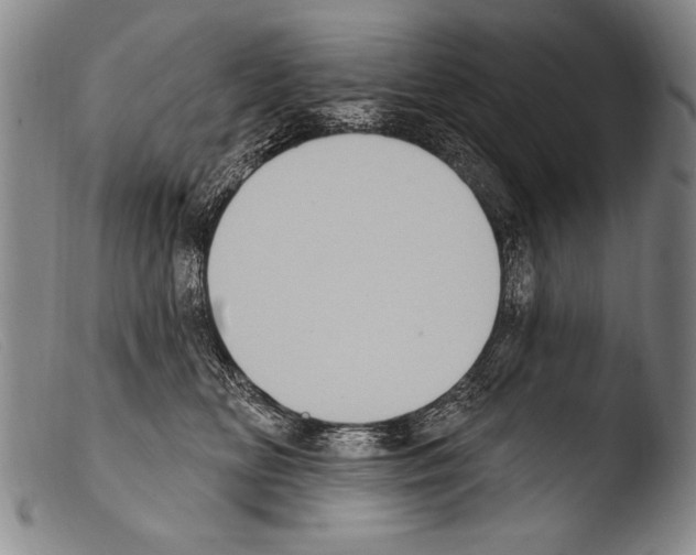 X0000103950518200810311552